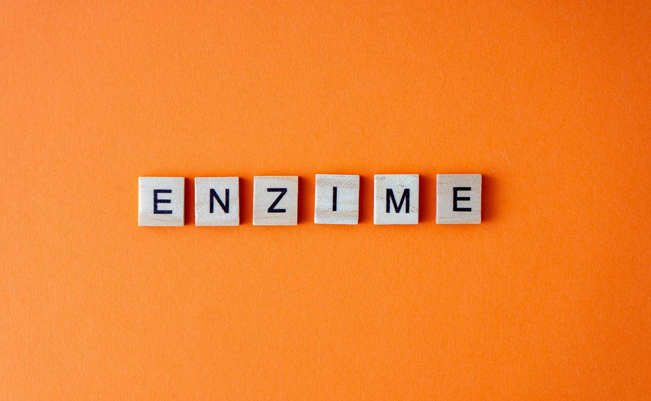 enzime digestive